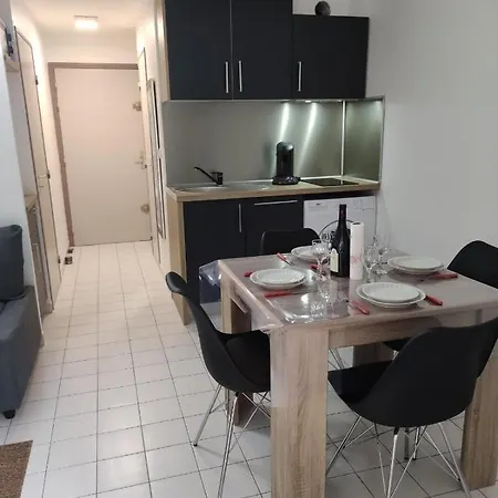 Apartment 30m In A With Pool Near Beach Agde